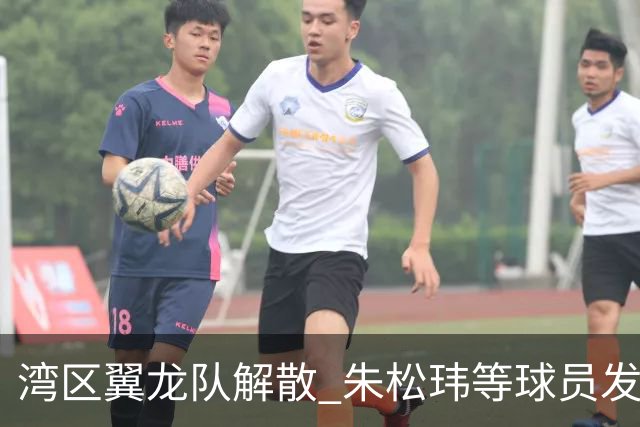 湾区翼龙队解散 朱松玮等球员发布声明维权